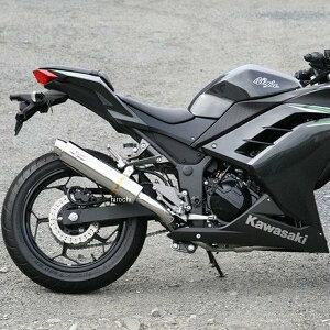 A[s[G RPM tGL][Xg 80D-RAPTOR 13Nȍ~ jW250AZ250 XeX 6509D HDX