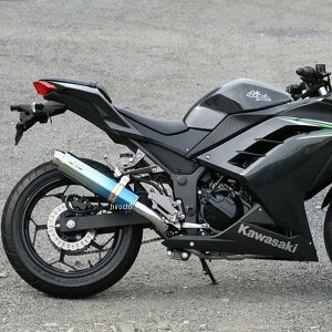 A[s[G RPM tGL][Xg 80D-RAPTOR 13Nȍ~ jW250AZ250 u[`^ 6509Z HDX