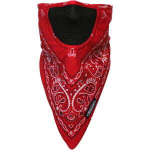 yUSA݌ɂz Vp Schampa tFCX}XN t@Vbg Paisley  2503-0351 HDX