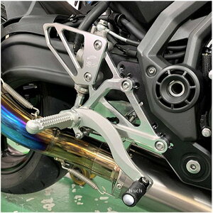 �r�[�g BEET �o�b�N�X�e�b�v �t�V�t�g�d�l 17�N�ȍ~ Ninja650 �n�C�p�[�o���N �V���o�[ 0111-KD7-30 HD�X