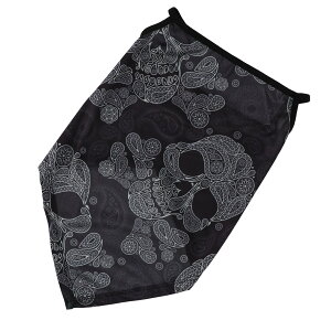 y[J[݌ɂz CY RIDEZ o_iC[[v XJ2 t[TCY TBE1100 HDX