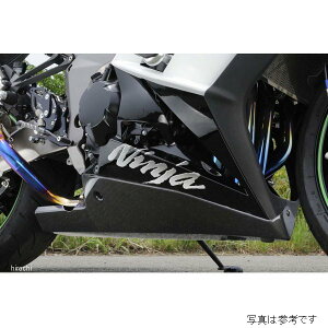 mW}GWjAO A_[JE FRP 11N-19N Ninja1000 Q NCW634UC-BK HDX