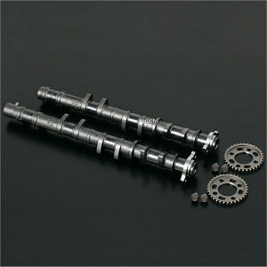 V JVtg(^CvR)GSXR1000K9 210-518-0100 HDX