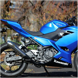 SPj XbvI}t[ p[{bNX Kz pCvp 18Nȍ~ Ninja250 NI2-PB-33 HDX