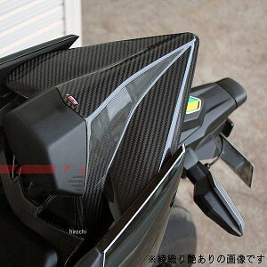 スピードラ SPEEDRA シートカウル NINJA H2/R 平織艶あり CKA0709PG HD店