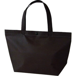 y[J[݌ɂz ()G[ G[ JWAg[g  _[NuE LC0528AG20 HDX