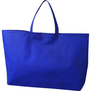 y[J[݌ɂz ()G[ G[ JWAg[g   LC0533AD10 HDX