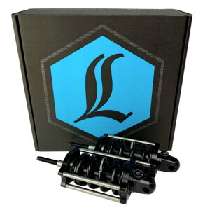 yUSA݌ɂz WFh LEGENDS VbN Wd REVO-A 00N-17N \teC 1310-1973 HDX