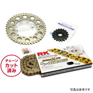 �T���X�^�[ �X�v���P�b�g���`�F�[���L�b�g 530 82�N Z1100GP �S�[���h KR5D413 HD�X