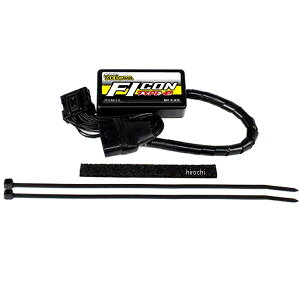 SP FIR TYPE-e X[p[JuC125 05-04-0119 HDX