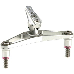 AG AELLA irXe[ gCAt Xg[gcC  AE-77022-SH2 WT HDX