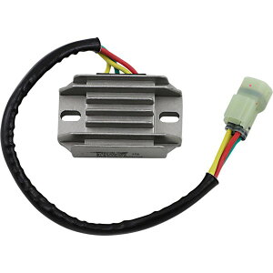 yUSA݌ɂz Rick's Motorsport Electrics M[^[ N`t@C[ 04N Arctic Car Sabercat600 2112-1464 HDX