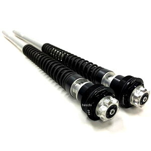 �}�g���X MATRIS �J�[�g���b�W�L�b�g F20K 09�N-11�N �h�D�J�e�B STREETFIGHTER1098 F20D107K HD�X