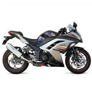SP R[I[o}t[iXbvI^Cvji{F؃}t[j Ninja250 Ninja250R 13-04-0024 HDX
