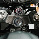 【メーカー在庫あり】 ワンデザイン ONEDESIGN トップブリッジステッカー カーボン柄 11年-22年 NINJA1000 PPSK6P HD店