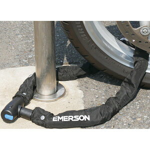 y[J[݌ɂz G}[\ EMERSON `F[bN EM-265 HDX