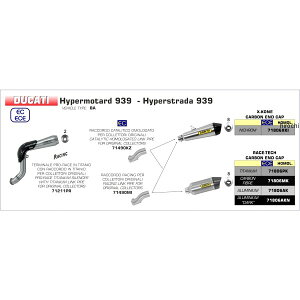 A[ ARROW XbvI}t[ RACE TECH 16N-18N hDJeB Hypermotard939 J[{/J[{Gh 71806MK-71490MI HDX