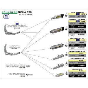 A[ ARROW tGL][Xg RACE TECH 17N-20N Ninja650 A~/J[{Gh 71854AK+71659KZ HDX