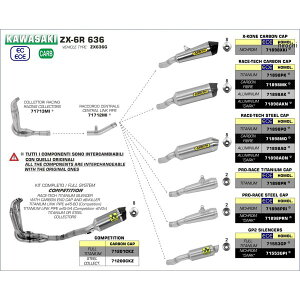 A[ ARROW tGL][Xg PRO RACE 19N-22N ZX-6RA636 `^/`^Gh 71898PR-71712MI-71713MI HDX