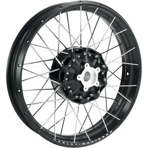 n[[ tg zC[ X|[N 19C` 21Nȍ~ RA1250 43300821 HDX