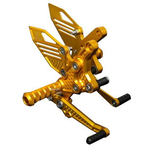 y[J[݌ɂz s[GV[ PMC ARCHI rbg njJ obNXebvver2 Z900RSAZ900RSJtF }[S[h 189-5305 HDX