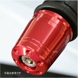 �A�O���X AGRAS �o�[�G���h ZX-25R �K�����^ 300-403-000GM HD�X