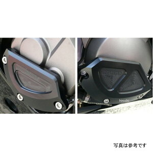 AOX AGRAS GWXC_[EZbg ^CvB 11N ZX-10R  342-487-008B HDX