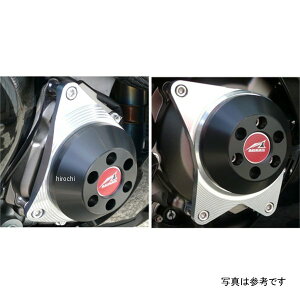 AOX AGRAS GWXC_[EZbg ^CvC 11N ZX-10R  342-487-009B HDX