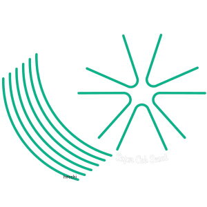 [hEH[N XebJ[ X[p[JuC125 R[O[ rim-1_cgr HDX