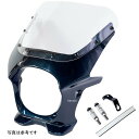 ワールドウォーク ビキニカウル AERO Z900RS キャンディトーンブルー/クリア ds-06aero-6c HD店