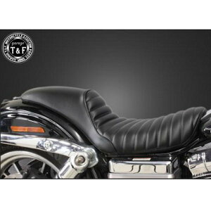 K[WTF Kt@C^[V[g ^Cv:^bN[ _Ci DNST18 HDX