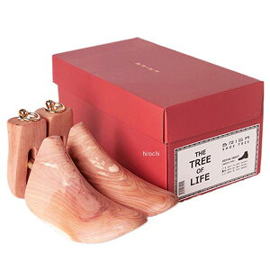 y[J[݌ɂz fOi[ DEGNER BRIGA V[gD[ u[c^Cv LTCY BR-ST HDX