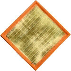 �yUSA�݌ɂ���z Hiflofiltro �G�A�t�B���^�[ DUCATI 1000SS�A750SS�A600SS 1011-3568 HD�X