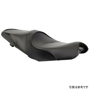 T[WFg Sargent V[g CarbonFX 08Nȍ~ 1400GTR pCsO: WS-570-19 HDX