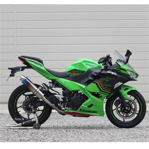 _uA[Y WR'S XbvI}t[ Eh JMCAF 18Nȍ~ Ninja250 ĂF`^ BK4270JM HDX