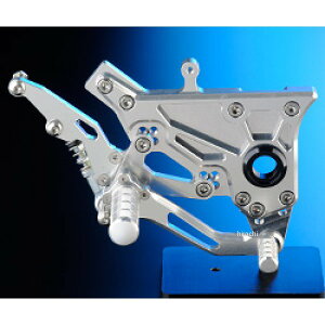 iCg[VO obNXebvLbg }X^[V_ GPZ900RAGPZ750R Vo[/ BS-03RNS-BR-B HDX