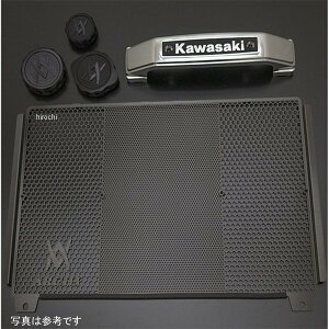 ARCHI A[L Z900RSX^[g_bVZbg  21N-24N Z900RS CAFE XeGu N[ 189-9104-3 HDX