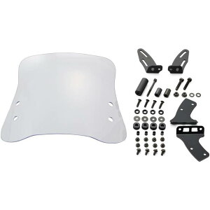 【メーカー在庫あり】 デイトナ ウインドシールド RS 17年 アクシス Z 96553 HD店