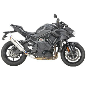 A[YMA AXybNXbvI 20Nȍ~ Z H2/SE `^|bV RK38-T3ST HDX