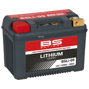 y[J[݌ɂz BSLi-09 BSobe[ `ECIobe[ 3564093601096 HDX