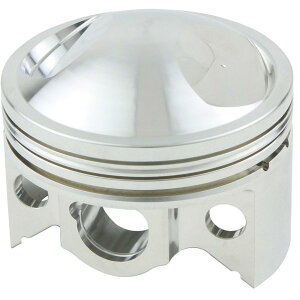 y[J[݌ɂz VtgAbv SHIFTUP {AAbvsXgP HRwbh 88cc L[6V 205488-PN-10 HDX