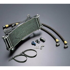 ACTIVE アクティブ オイルクーラーキット ラウンド #6 11-13R ゼファー1100、ゼファー1100RS ブラック仕様 AC14038413B HD店