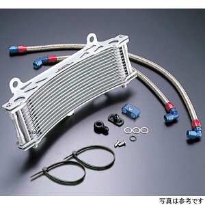 ACTIVE ANeBu ICN[[Lbg Eh #6 11-16R [t@[1100A[t@[1100RS ubNdl AC14038416B HDX