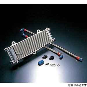 ACTIVE ANeBu ICN[[Lbg TCh/Xg[g #6 12-13R [t@[1100A[t@[1100RS Vo[ AC14068413 HDX