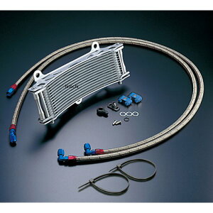 ACTIVE ANeBu ICN[[Lbg T[Ή TCh/Eh #6 11-13R [t@[1100A[t@[1100RS Vo[ AC14048413C HDX