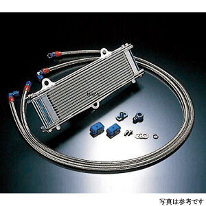 ACTIVE ANeBu ICN[[Lbg Xg[g #6 12-13R [t@[1100A[t@[1100RS ubNdl AC14058413B HDX