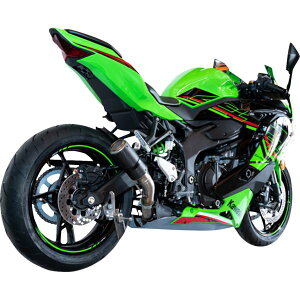 �yUSA�݌ɂ���z �z�b�g�{�f�B�[�Y HOT BODIES Stinger �X���b�v�I���}�t���[ 23�N �J���T�L Ninja ZX -4RR KRT Edition �� 1811-4522 HD�X