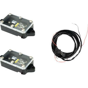 �yUSA�݌ɂ���z HERETIC LED���b�N���C�g 2���� �N���A 2040-3080 HD�X