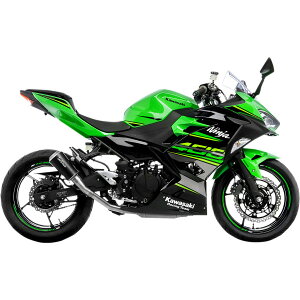 �yUSA�݌ɂ���z LEOVINCE LV-10 �X���b�v�I���}�t���[ 24�N Ninja 500 �� 1811-4117 HD�X