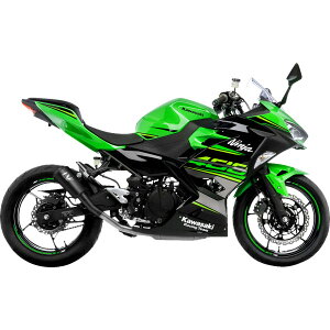 �yUSA�݌ɂ���z LEOVINCE LV-10 �X���b�v�I���}�t���[ 24�N Ninja 500 �� 1811-4260 HD�X